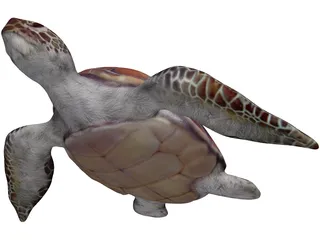 Turtle 3D Model