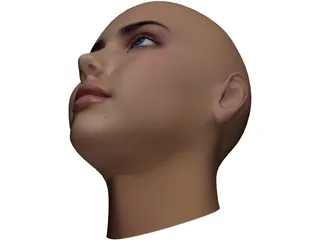 Woman Head 3D Model