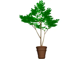 Potted Tree 3D Model