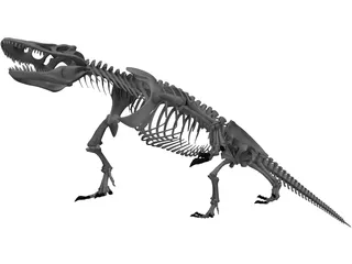 Komodo Dragon Skeleton 3D Model