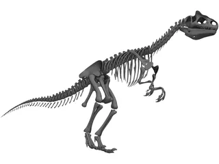 Allosaurus Skeleton 3D Model