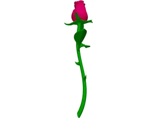 Rose Flower 3D Model