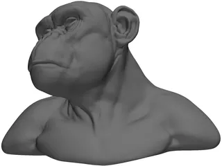 Chimp Head 3D Model