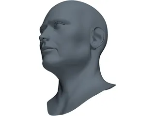 Human Face 3D Model