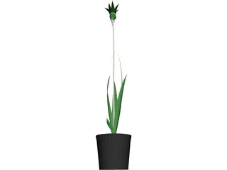 Potted Plant 3D Model