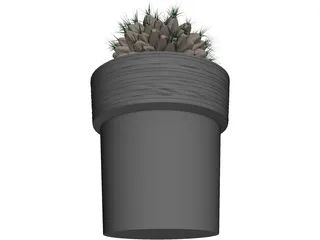 Potted Cactus Plant 3D Model