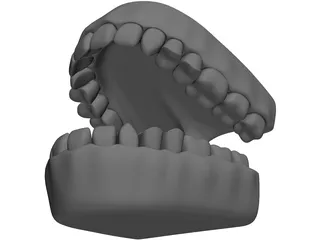 Teeth 3D Model