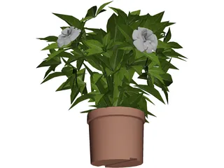 Potted Plant 3D Model