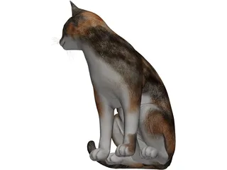Cat Sitting Red Haired 3D Model