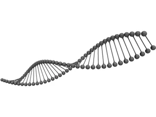 DNA 3D Model