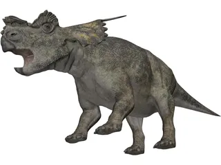 Achelousaurus 3D Model