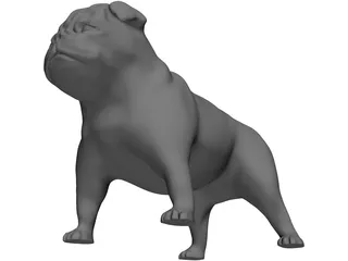 Bulldog 3D Model