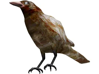 Bangor Crow 3D Model