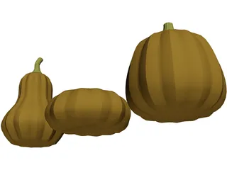 Squash 3D Model