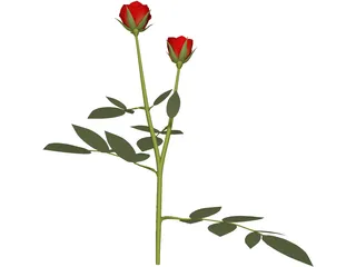 Red Rose 3D Model