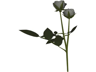 White Rose 3D Model