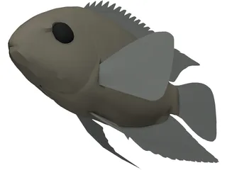 Cichlid 3D Model