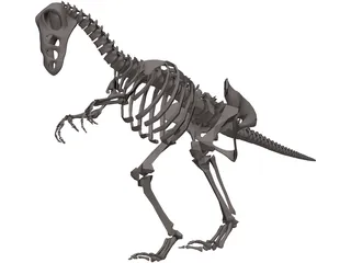 Dinosaur Skeleton 3D Model