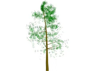 Tree Big 3D Model