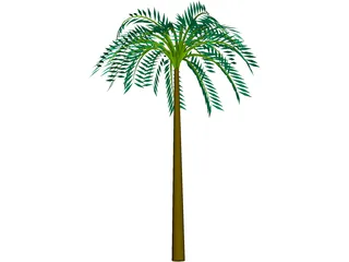 Tree Palm Tropical 3D Model