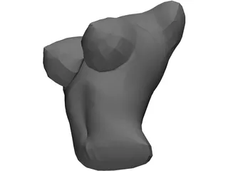 Torso Female Busty 3D Model