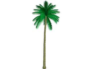 Palm Tree 3D Model