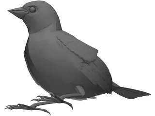 Black Bird 3D Model