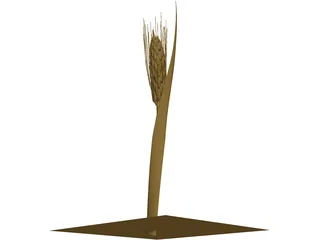 Dried Barley 3D Model