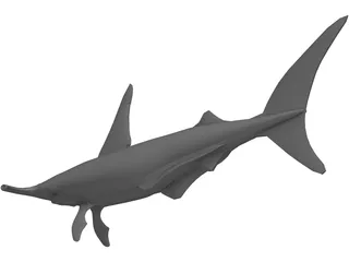 Shark 3D Model