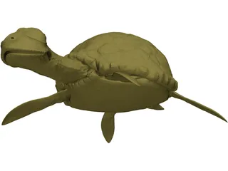 Cartoon Turtle 3D Model