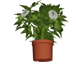 Plant 3D Model