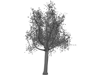 Tree 3D Model