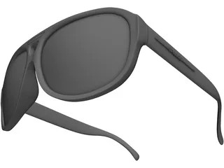 Polaroid Sunglasses 3D Model