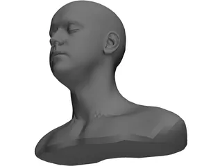 Head 3D Model