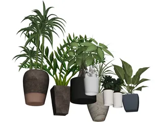 House Plant Collection 3D Model