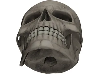 Skull 3D Model