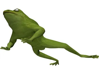 Frog 3D Model