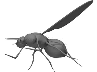 Fly 3D Model