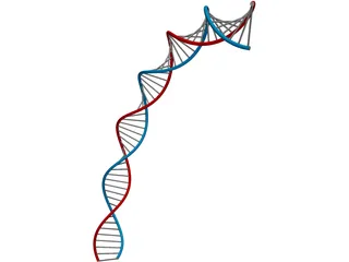 DNA 3D Model