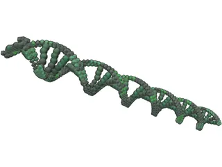 DNA 3D Model