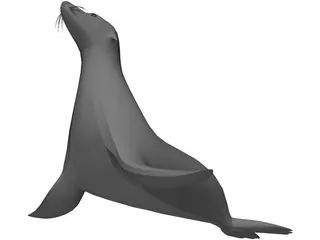 Sealion 3D Model