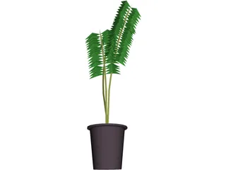 Potted Fern 3D Model