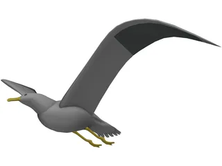 Seagull Flying 3D Model