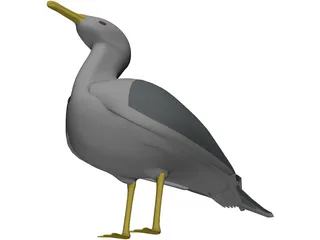 Seagull Standing 3D Model