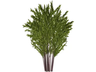 Nandina [Phyllostachys] 3D Model