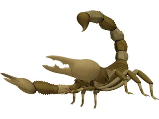 Scorpion - Buthidae Family - Hottentotta Species 3D Model