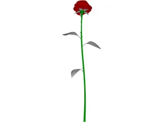 Rose 3D Model