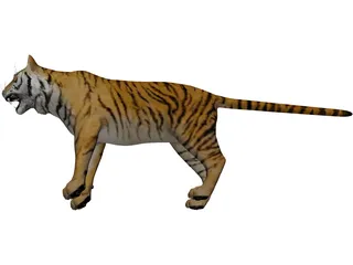 Bengal Tiger 3D Model