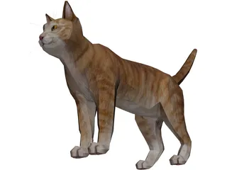 Cat 3D Model