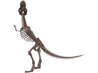 Dinosaur Skeleton 3D Model